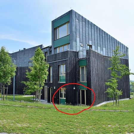 Miky Apartman Klinovec Loučná pod Klínovcem エクステリア 写真