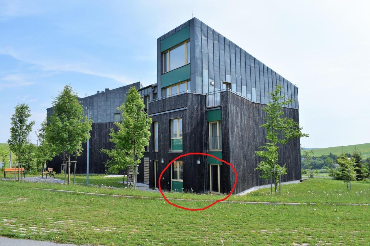 Miky Apartman Klinovec Loučná pod Klínovcem エクステリア 写真