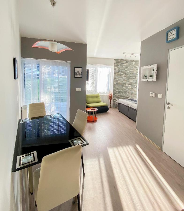 Miky Apartman Klinovec Loučná pod Klínovcem エクステリア 写真